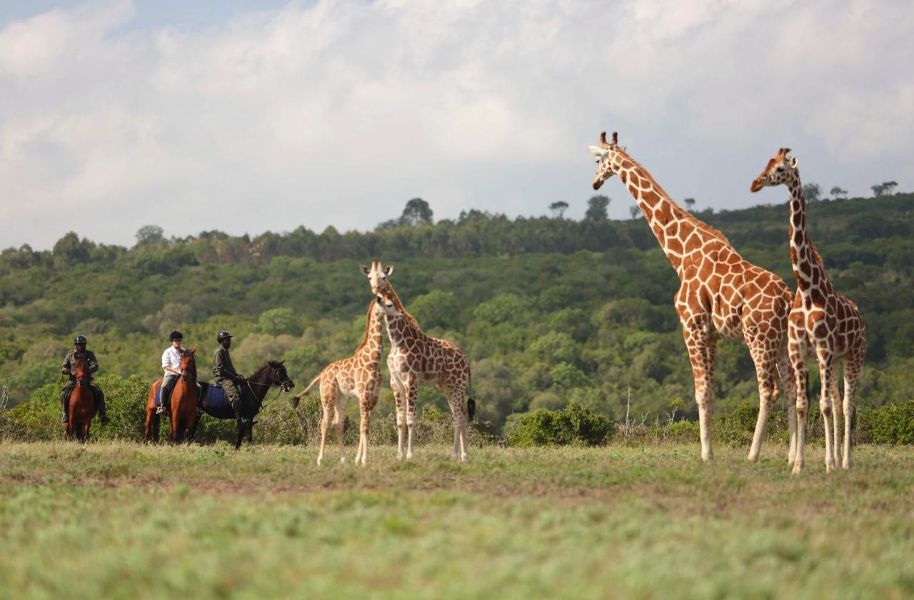 The Aberdare Country Club Hotel Mweiga Bagian luar foto