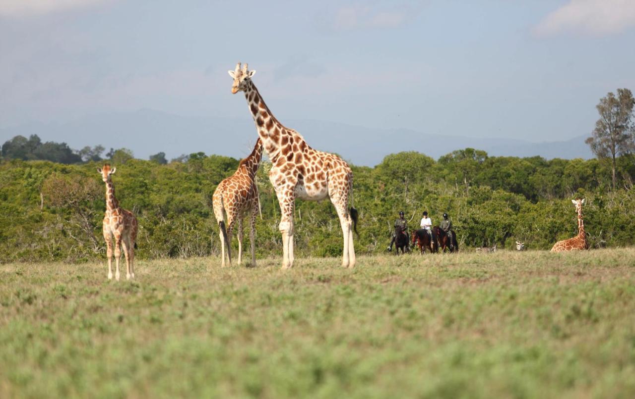 The Aberdare Country Club Hotel Mweiga Bagian luar foto