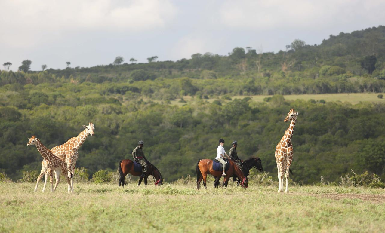 The Aberdare Country Club Hotel Mweiga Bagian luar foto