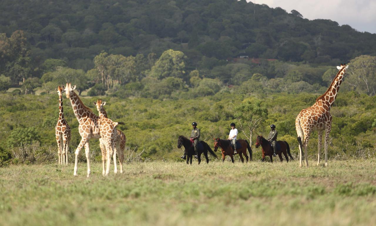 The Aberdare Country Club Hotel Mweiga Bagian luar foto